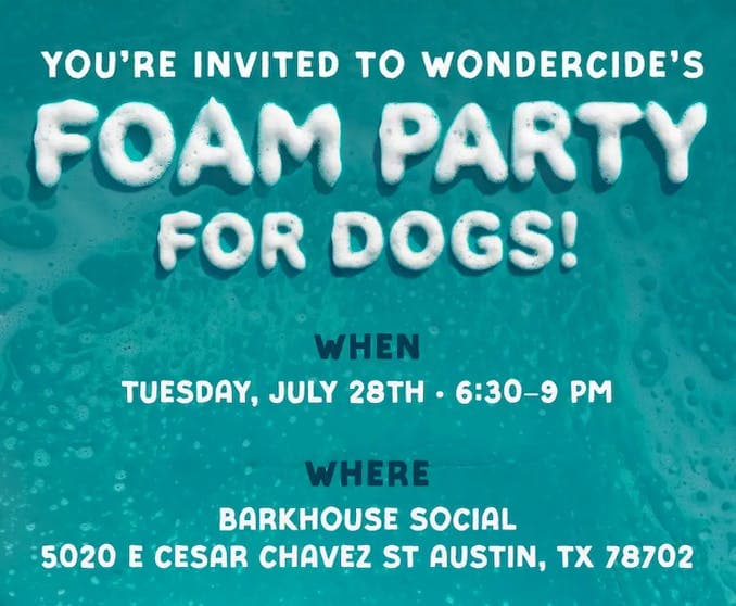 Foam Party (for dogs!) 🫧