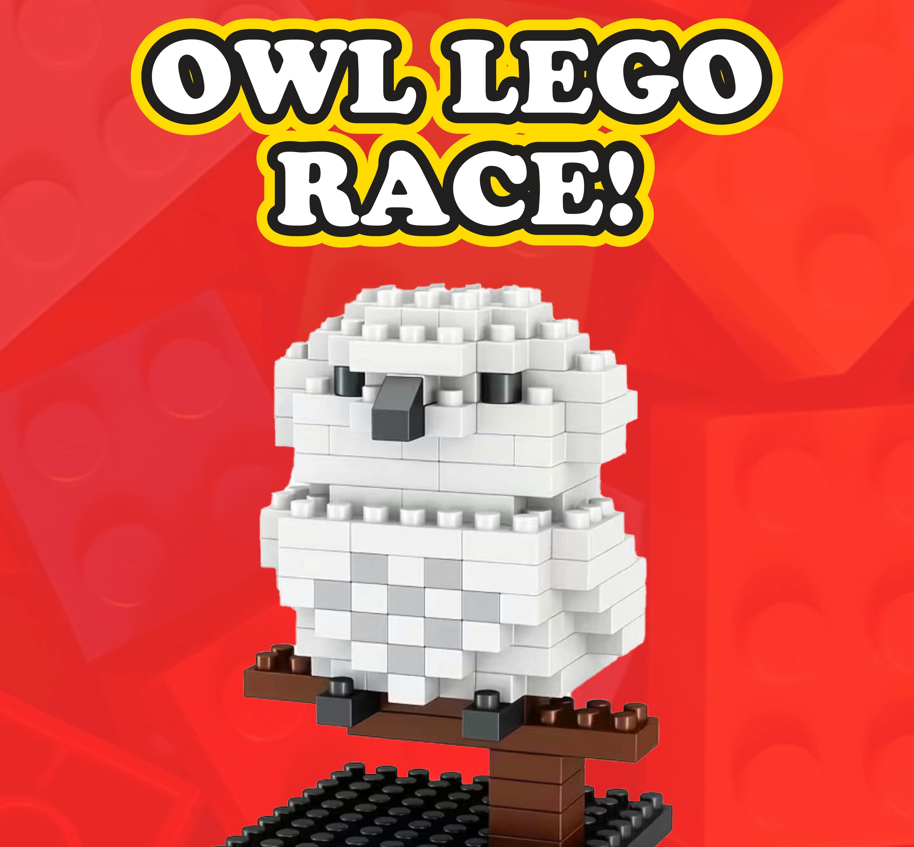 Owl Lego Race