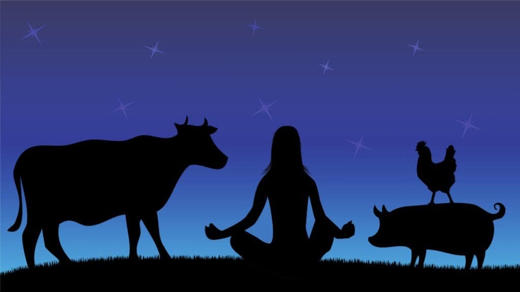Vegan Meditation
