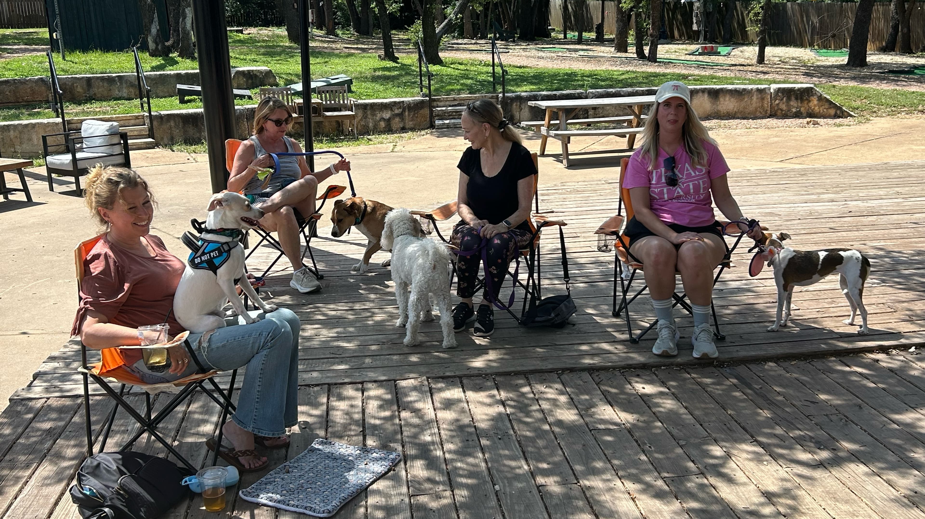 Doggy Skills for Public Places aka “Dining with dogs” 😊