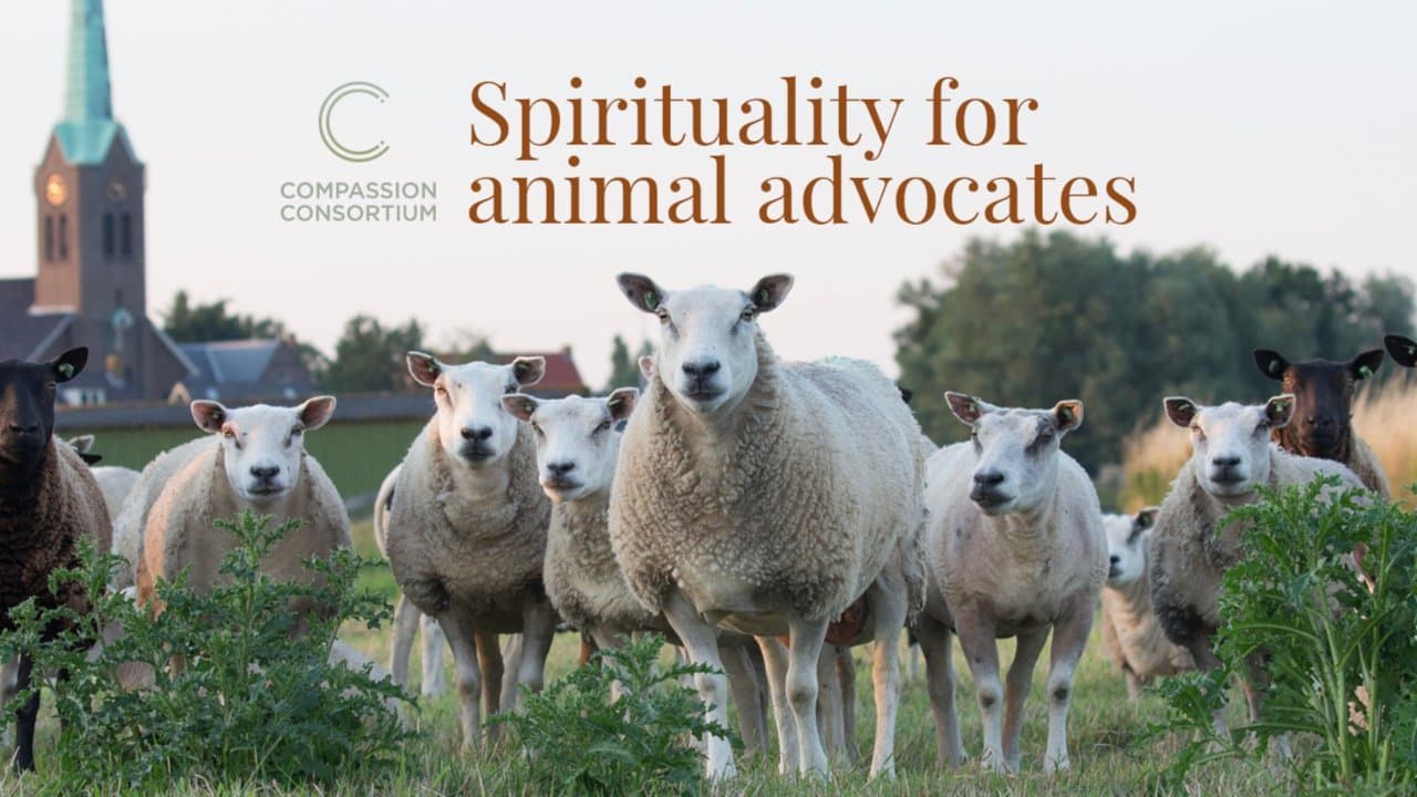 Spirituality for Animal Advocates & Vegans
